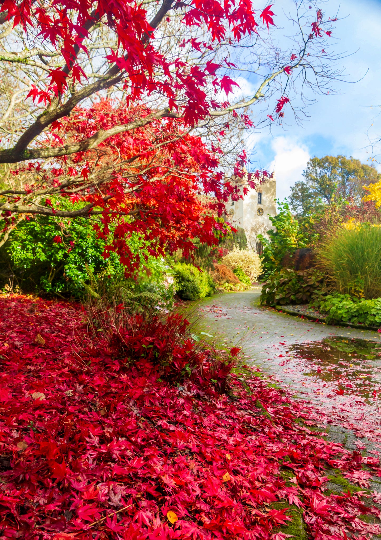 Autumn in Grasmere