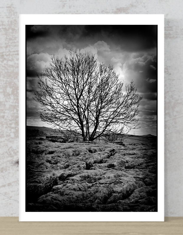 Alone in Malham