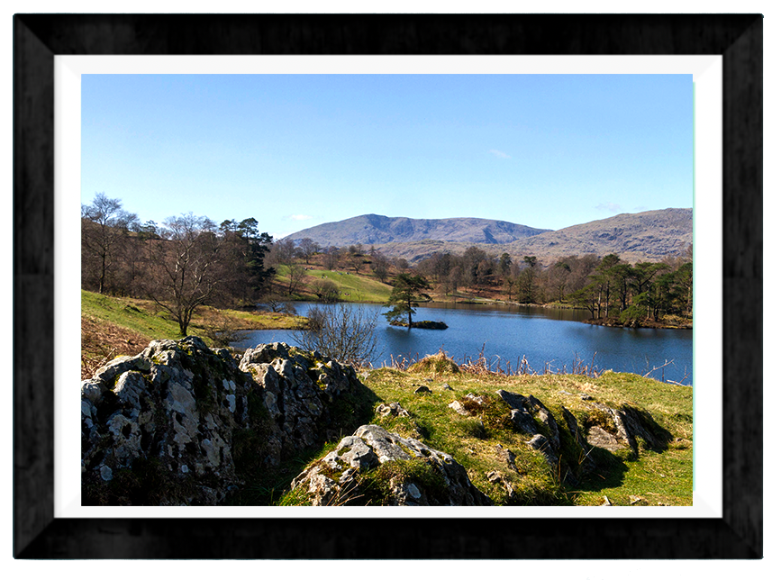 The Man from The Tarn