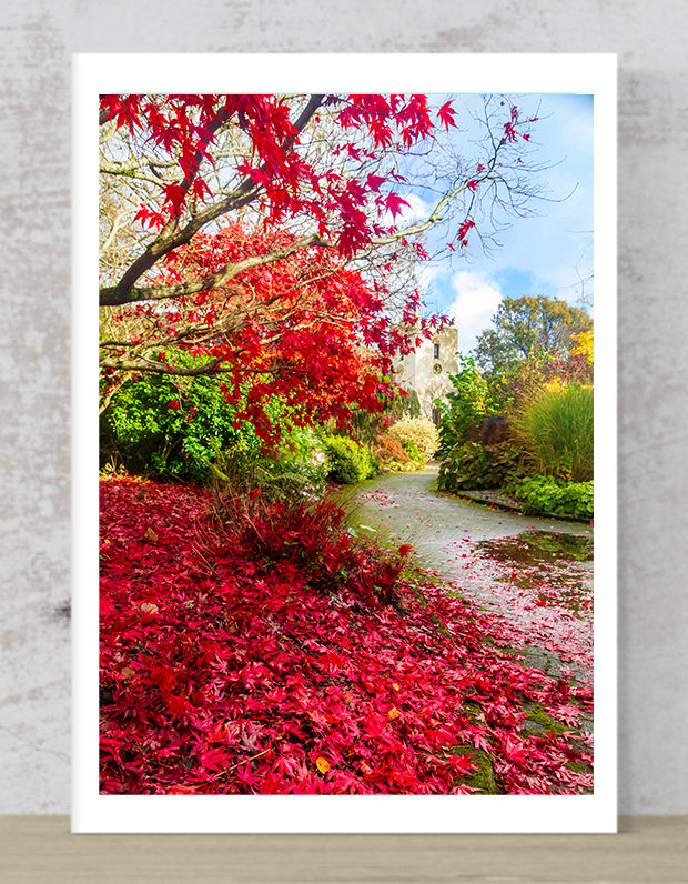 Autumn in Grasmere