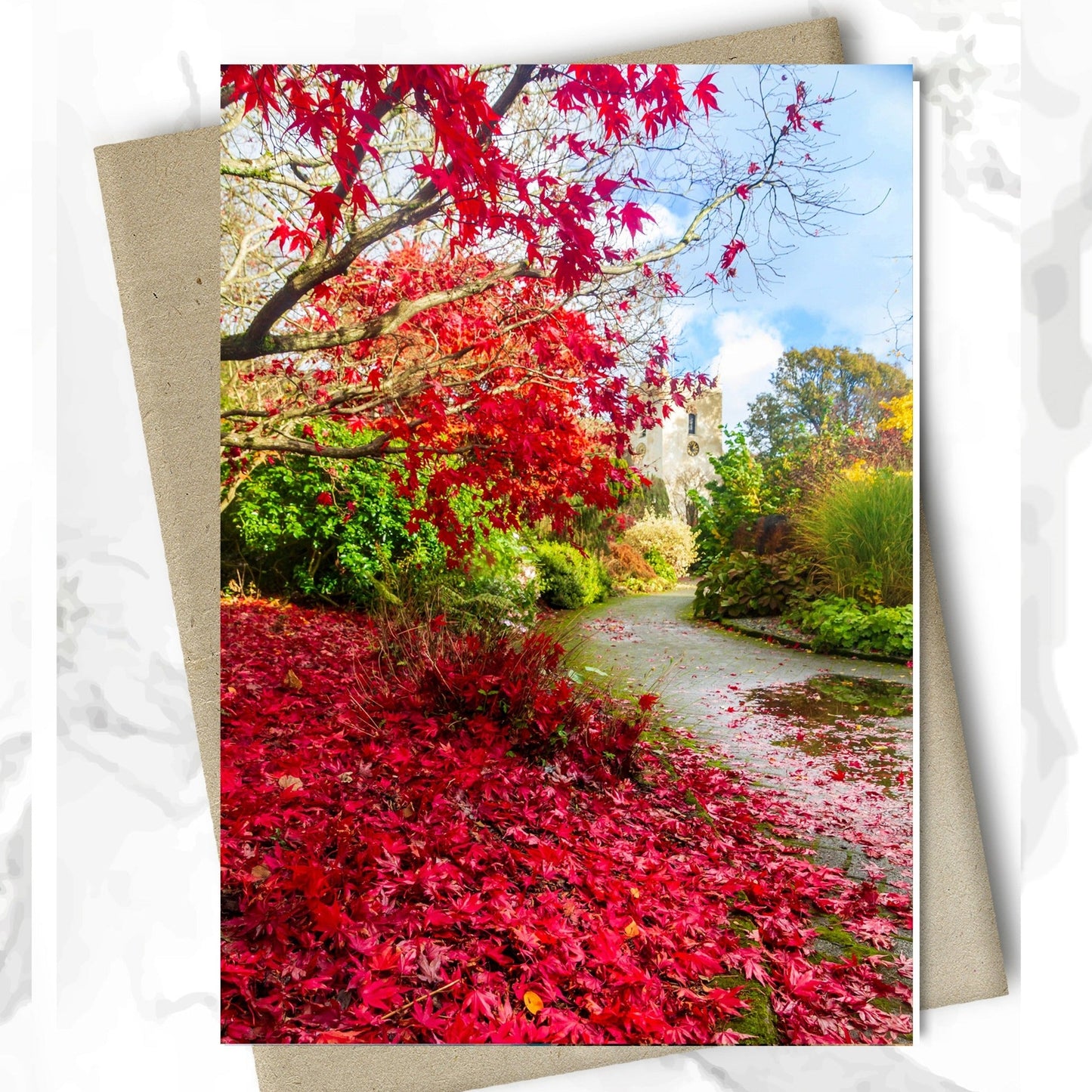 Greeting Card - Colours of Autumn