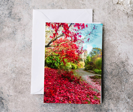 Greeting Card - Colours of Autumn