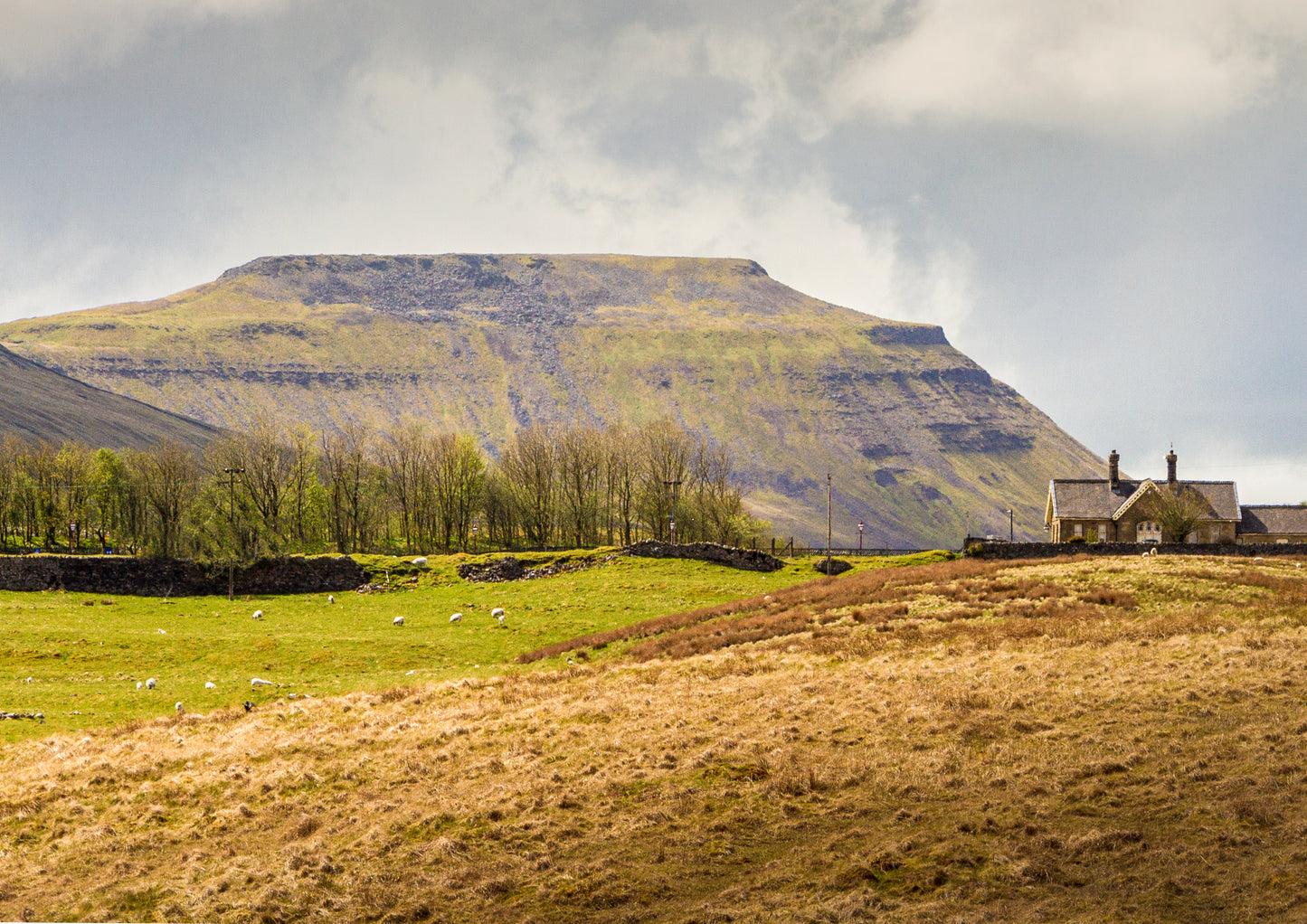 Ingleborough Peak