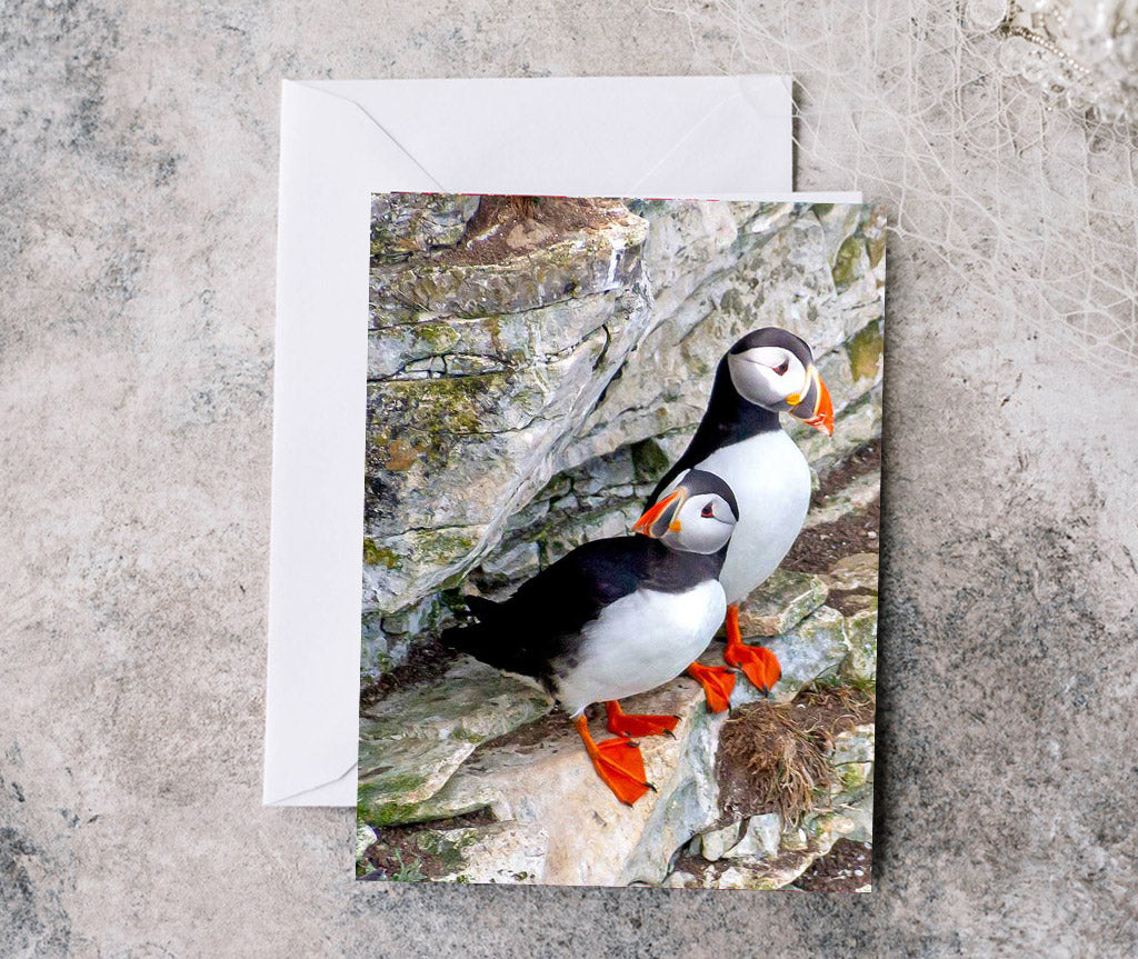 Greeting Card - Puffins at Bempton