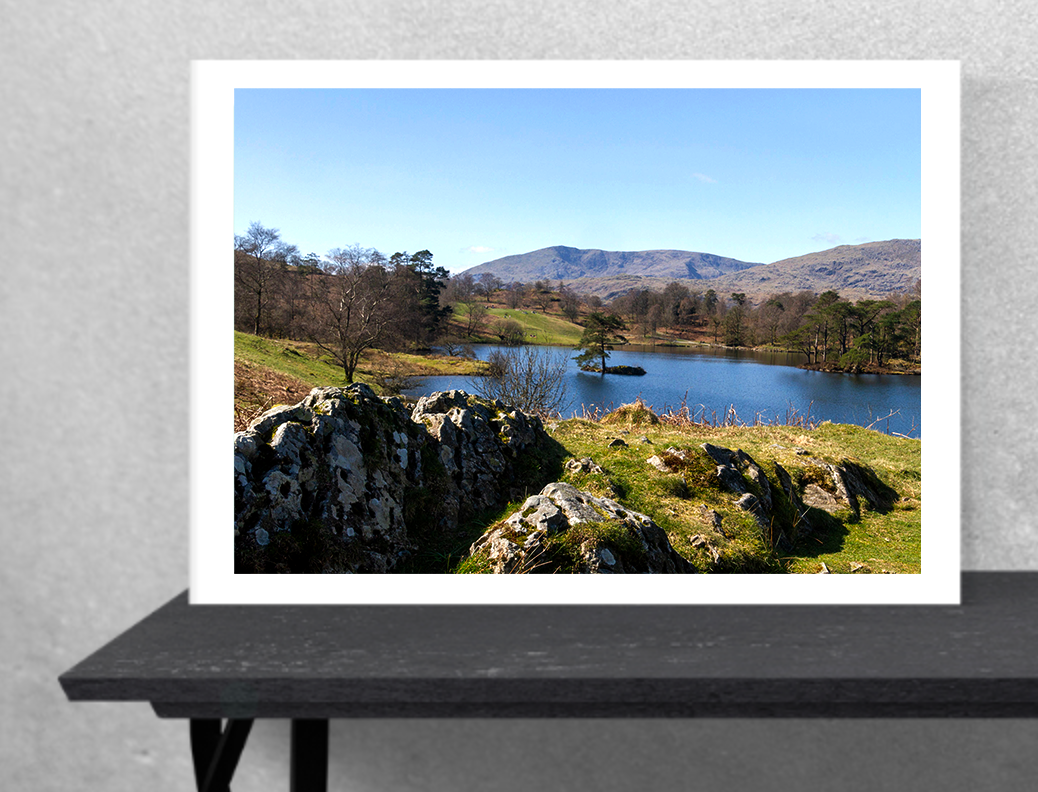 The Man from The Tarn