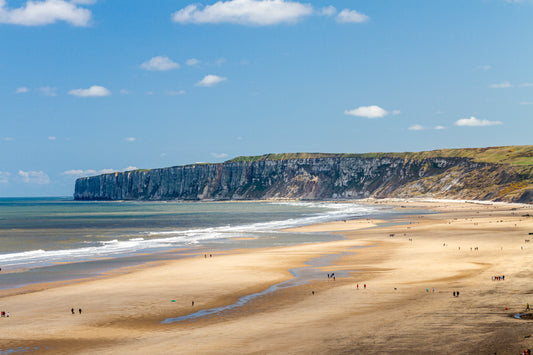 Bempton Cliffs