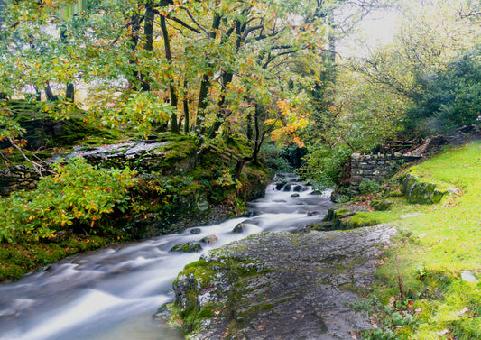 Mill Beck