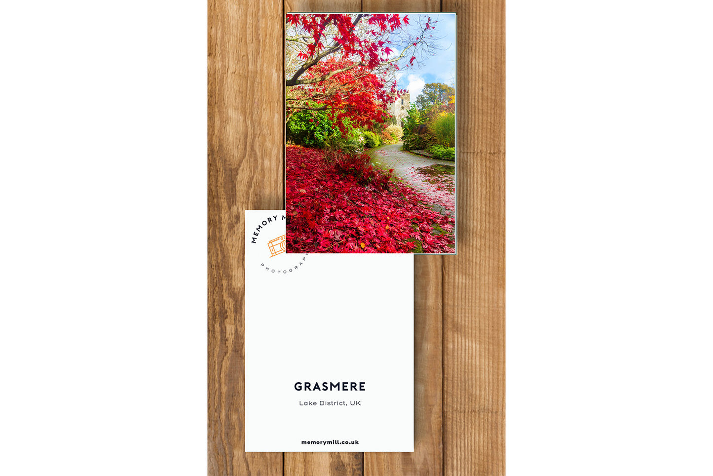 Greeting Card - Colours of Autumn