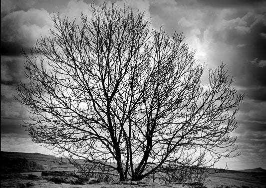 Alone in Malham
