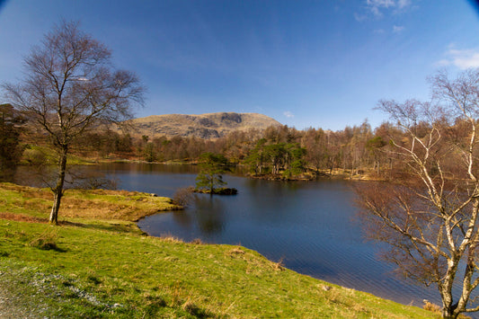 The Man from The Tarn