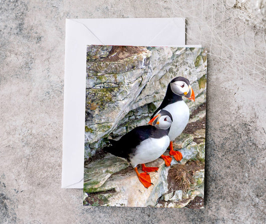 Greeting Card - Puffins at Bempton